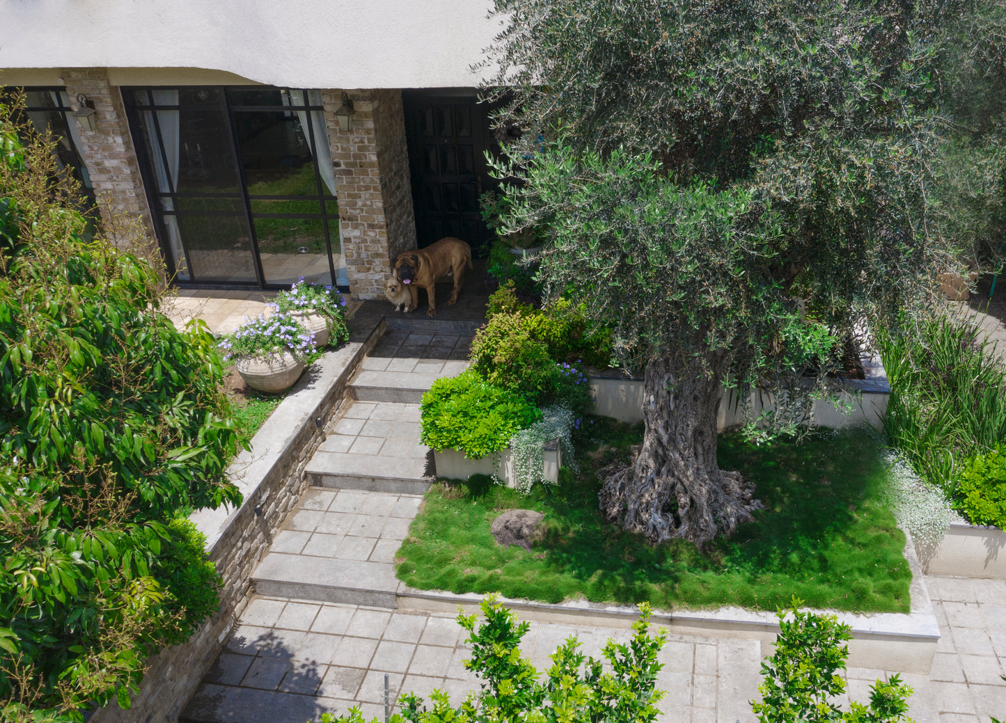Private Garden 1