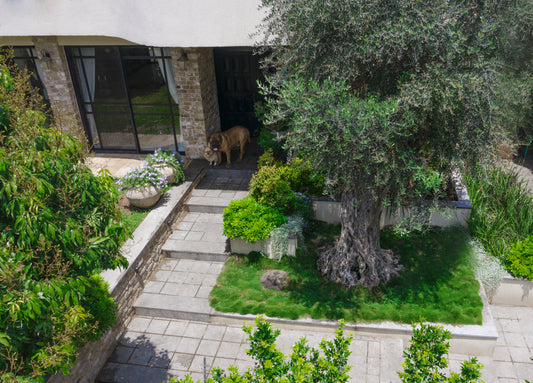 Private Garden 1